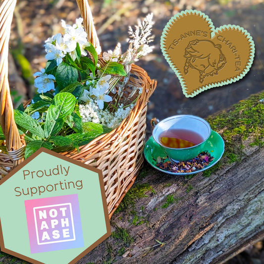A green teacup and saucer on  a mossy log, next to a basket of wildflowers and leaves. 

A heart-shaped badge in one corner reads "Tis-Anne's Chari-Tea", and another emblem reads "Proudly Supporting" with the logo for Not A Phase.